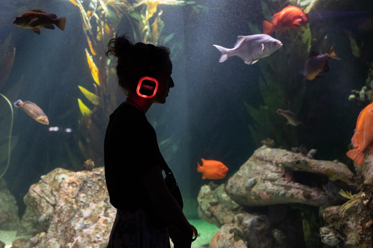 National Aquarium to hold immersive event 'Voyages' with local vendors