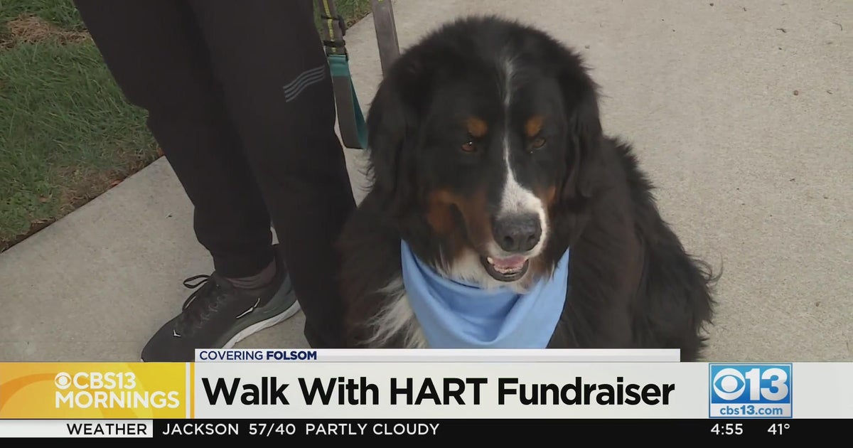 Hundreds of people gather in Folsom to raise money for homeless people
