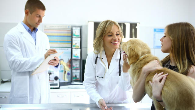 Girl taking her dog to the vet. 