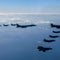 N. Korea fires more missiles as US flies bombers over South