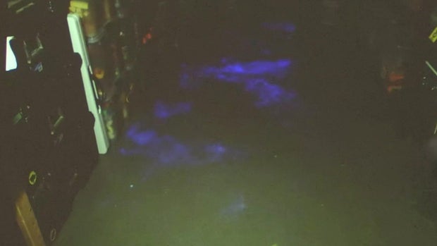halderson-luminol.jpg