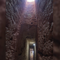 Archaeologist discover vast tunnel beneath Egyptian temple