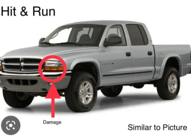 truck.png 
