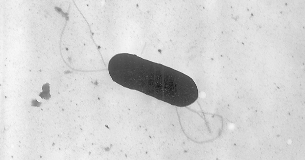 Listeria outbreak kills one in numerous states