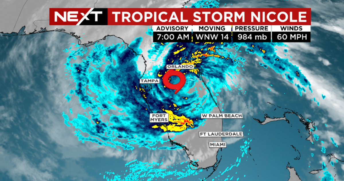 Tropical Storm Nicole roars throughout Central Florida