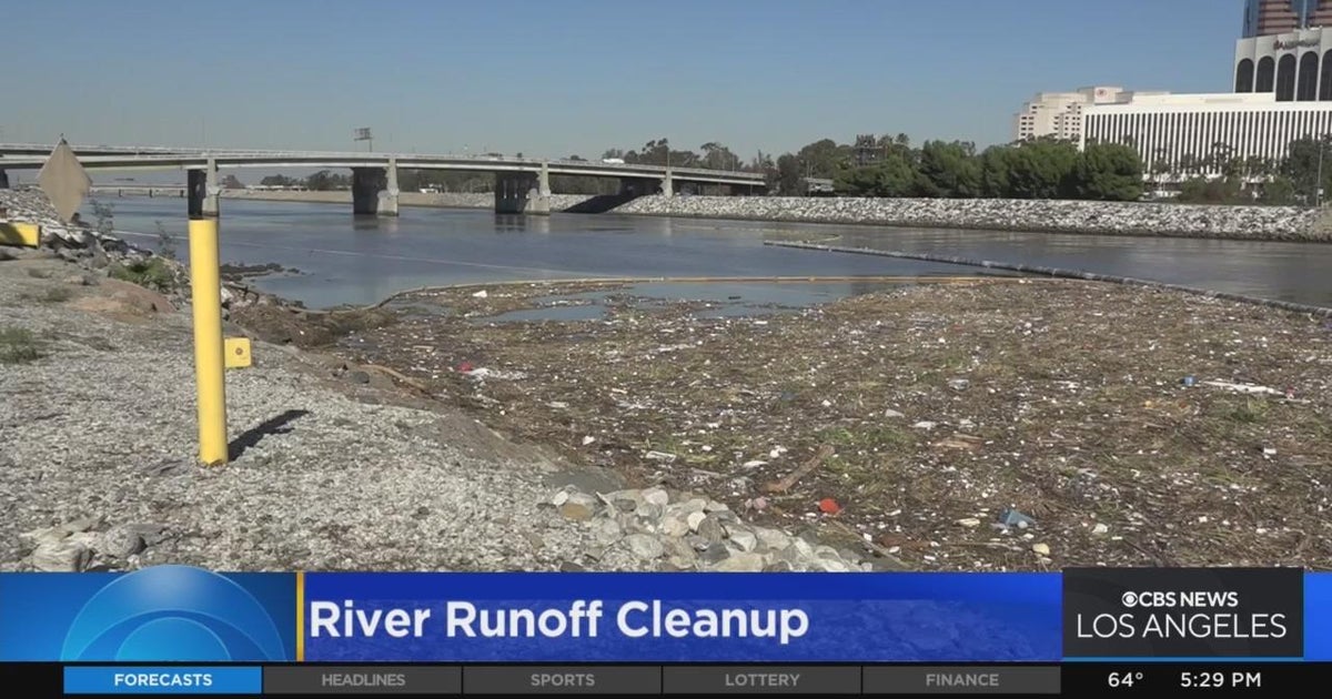 LA River cleanup underway after heavy rain causes trash buildup CBS