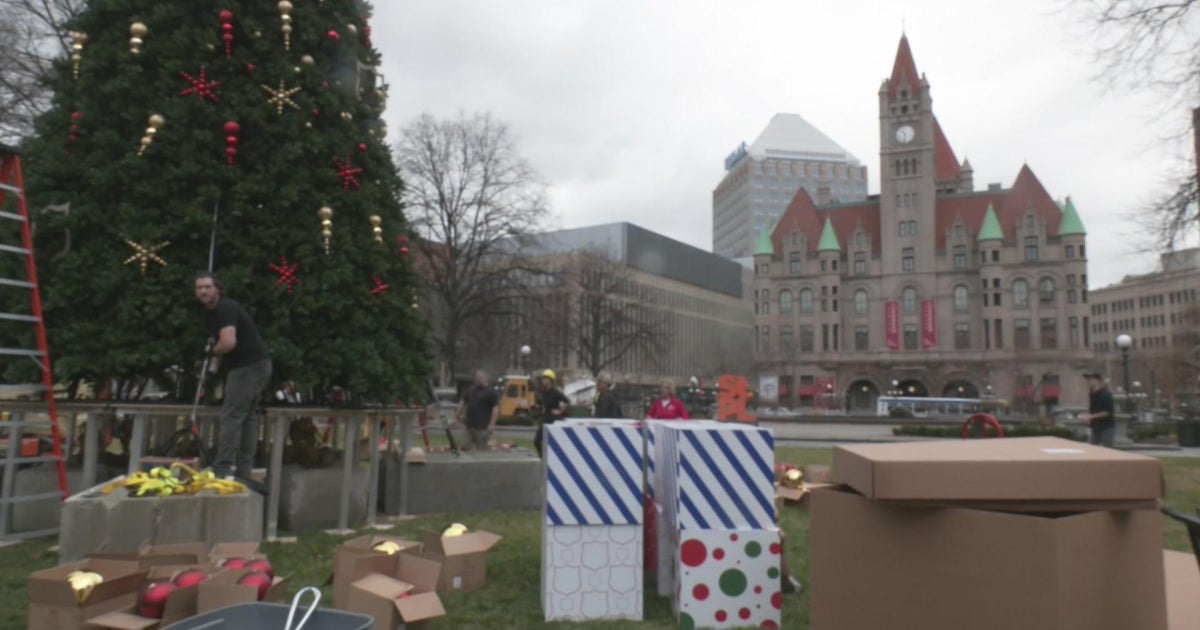 Massive Christmas tree returns to Rice Park after 3year absence CBS