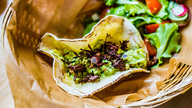 Delicious taco with guacamole and chapulines accompanied by a green salad 