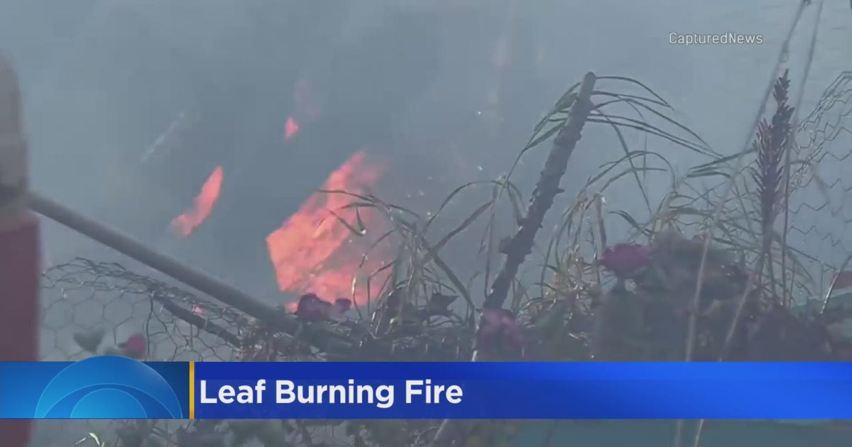 Leaf burning blamed for Round Lake house fire CBS Chicago
