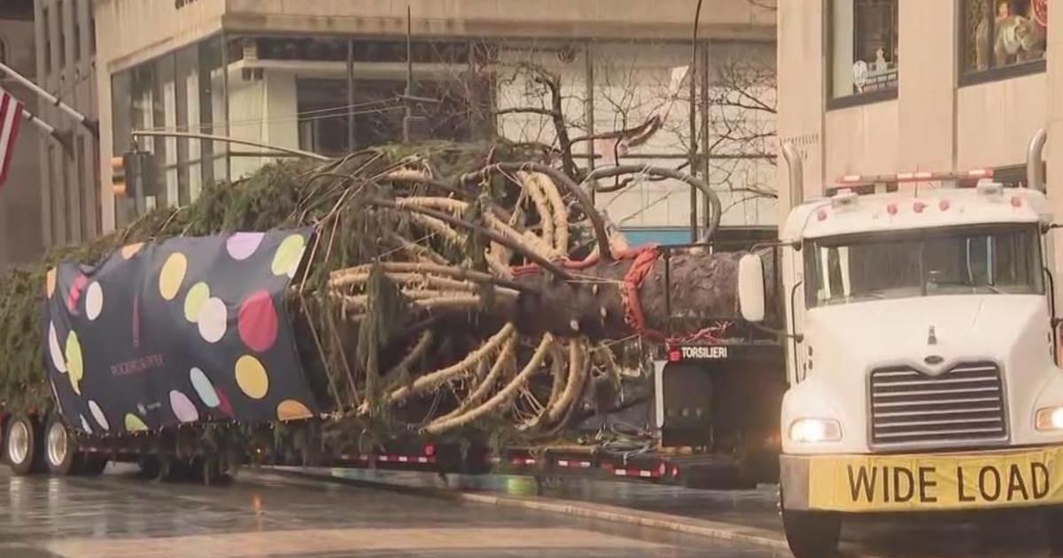 It's here! 2022 Rockefeller Center Christmas tree arrives in NYC