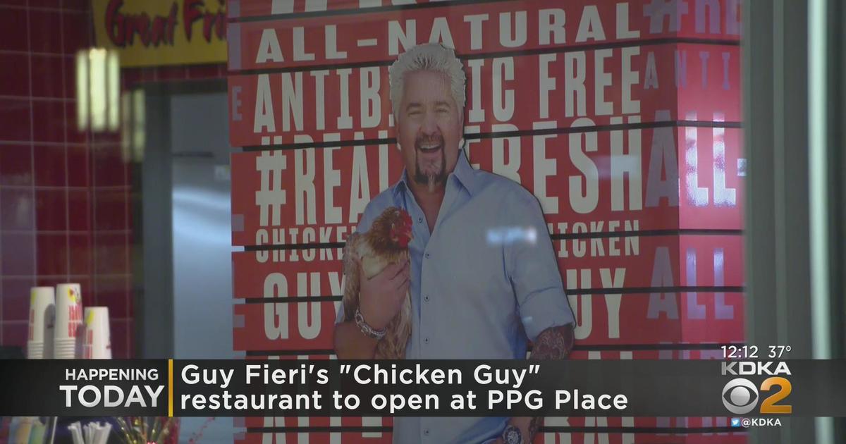 Guy Fieri Chicken, Under Armour Among 7 New Businesses Coming To