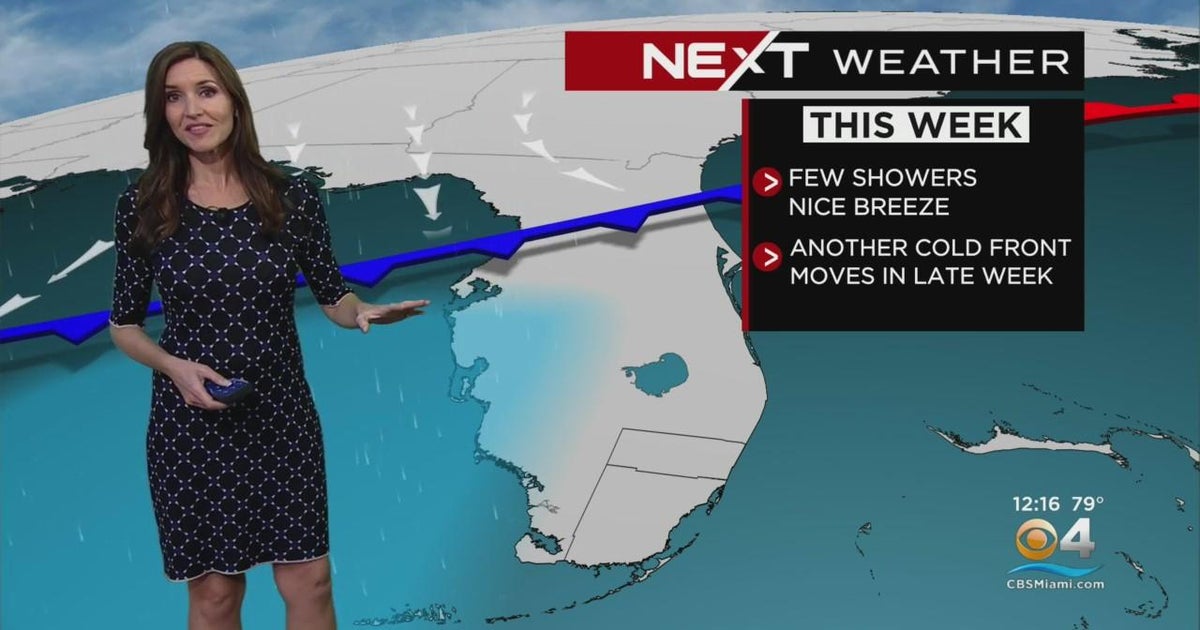 Miami weather for november