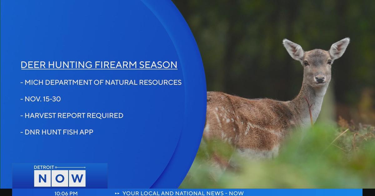 Michigan's firearm deer hunting season begins Nov. 15 CBS Detroit