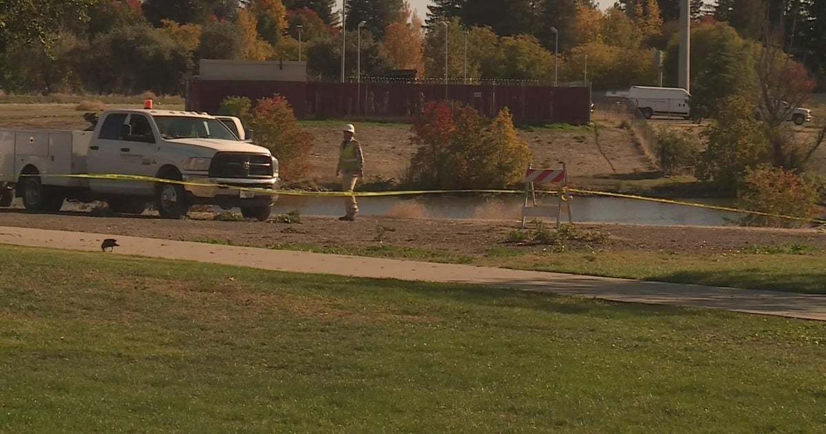Major diesel spill shuts down Tanzanite Park in Natomas