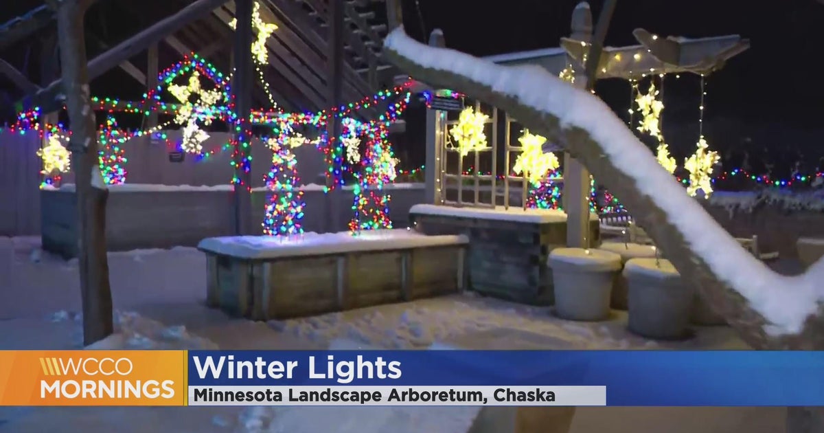 Minnesota Landscape Arboretum decked out for Winter Lights CBS Minnesota