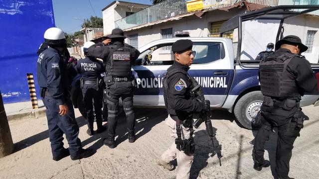 Police in Mexico spot dog with human body part in its mouth — again