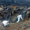 Ukraine softens stance on deadly Poland missile explosion