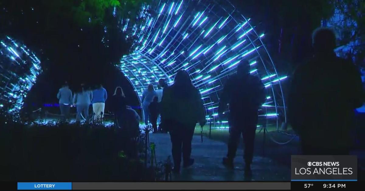 Lightscape Returns To La Arboretum For The Second Year Cbs Los Angeles