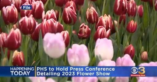 Details about 2023 Philadelphia Flower Show to be announced Friday CBS Philadelphia