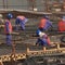 Group claims migrant workers died while building World Cup Stadiums