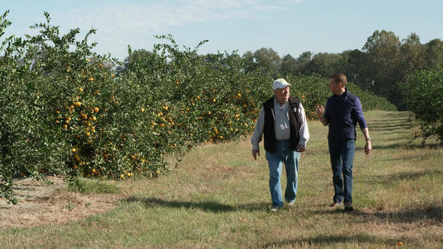 ben-tracy-in-orchard.jpg 