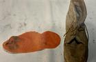 Orange sock found at Schnee crime scene 