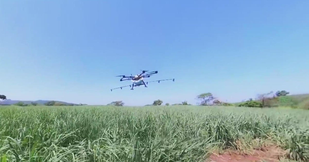 Drones help California farmers cut down on costs
