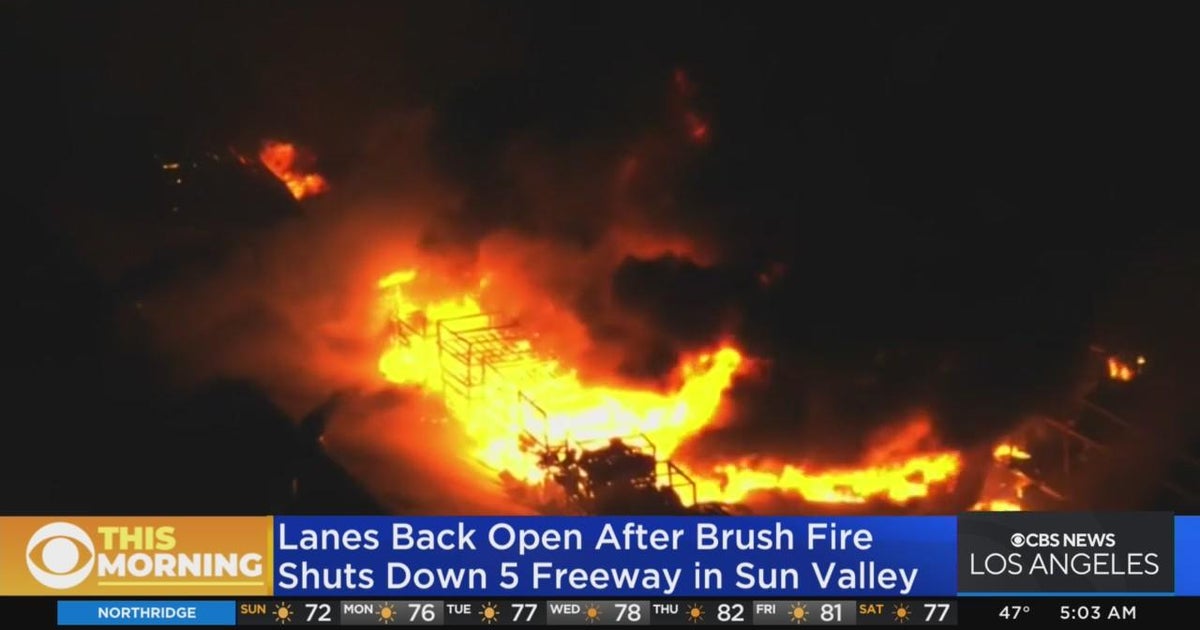 Firefighters quickly knock down brush fire in Sun Valley - CBS Los Angeles