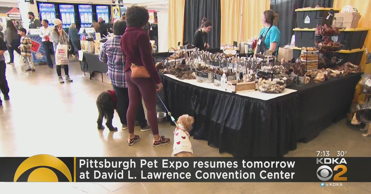 Pittsburgh Pet Expo concludes Sunday CBS Pittsburgh