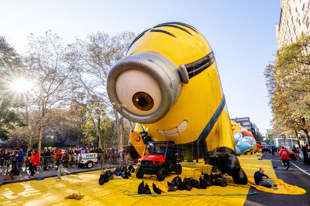 The Stuart The Minion balloon is being inflated during the 96th Macy's Thanksgiving Day Parade balloon inflation at Central Park on November 23, 2022 in New York City. 