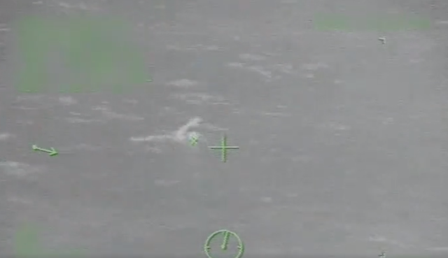 Dramatic video shows Coast Guard rescuing man who went overboard on Carnival cruise 