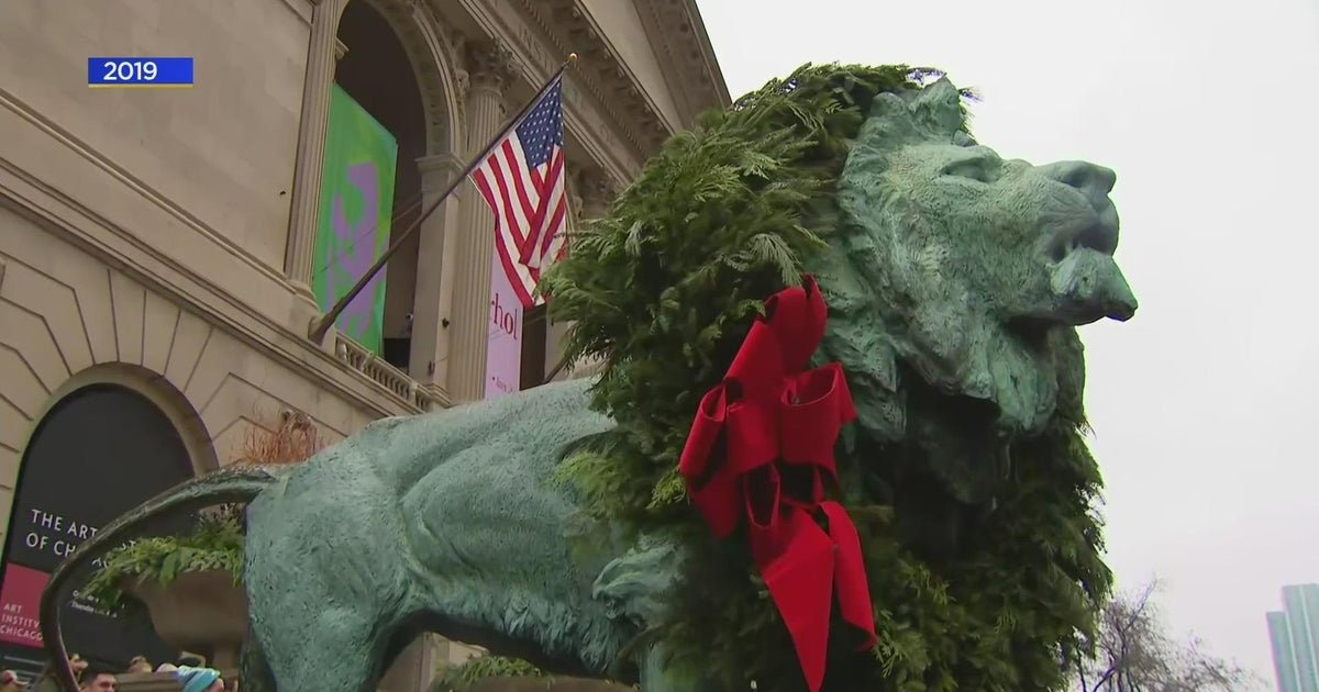 Art Institute lions CBS Chicago