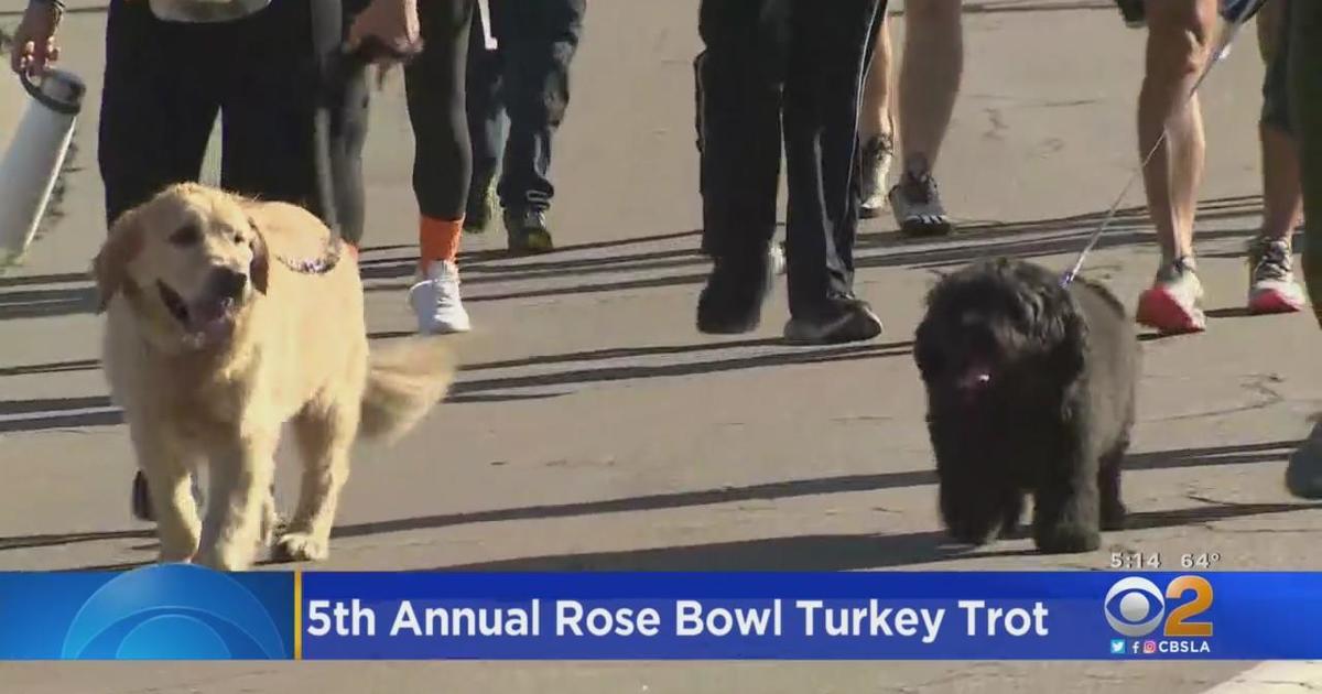 5th annual Rose Bowl Turkey trot CBS Los Angeles