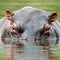 2-year-old boy rescued after being swallowed by hippo, Uganda police say