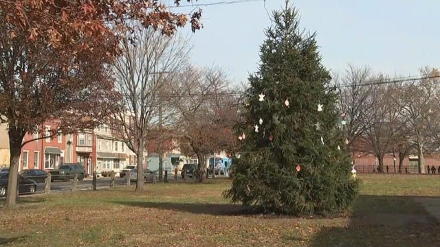 petrillo-4p-pkg-bridesburg-tree-vandalized-112922-frame-1930.jpg 