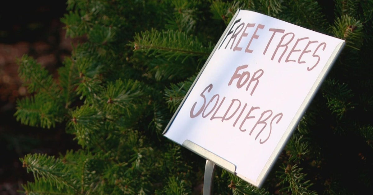 Wachusett Brewing Company giving free Christmas trees for soldiers - Vimarsana News