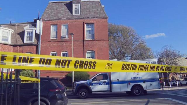 Remains of 4 infants found in South Boston home