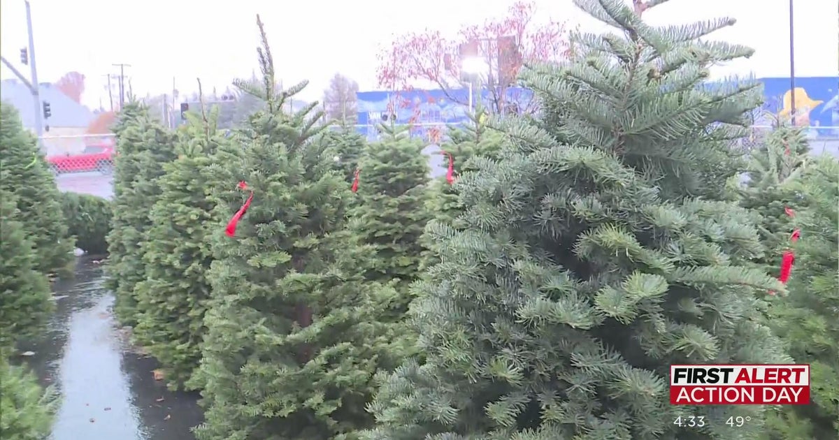 Has the storm impacted Christmas tree shopping?