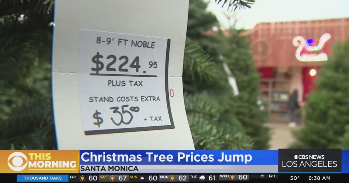 Drought drives up price of Christmas trees CBS Los Angeles