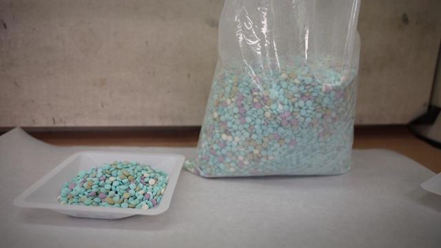 A bag and tray full of rainbow fentanyl pills. 