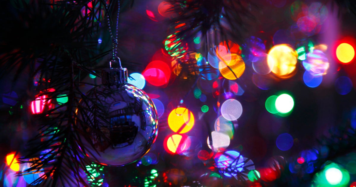 Christmas displays at Maryland town started small, now 'insane' with cheer - Vimarsana News