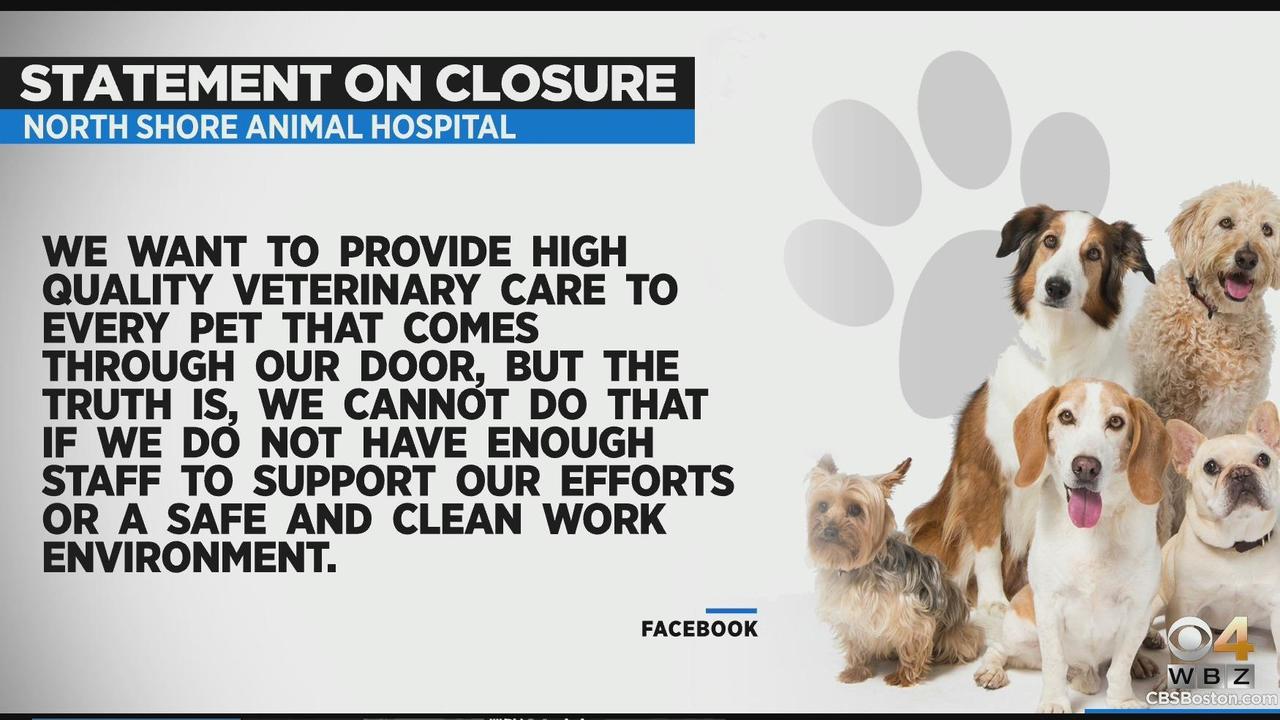 North Shore Animal Hospital in Lynn to close - CBS Boston