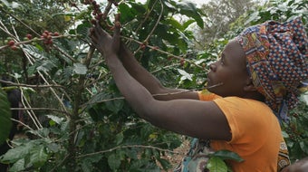 In Mozambique's Gorongosa National Park, not just the animals are thriving 