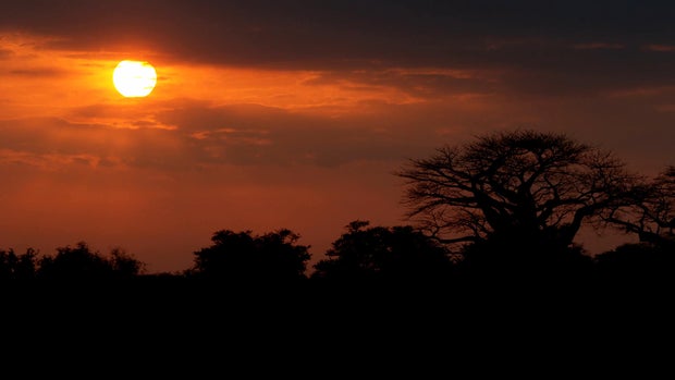 gorongosascreengrabs00.jpg