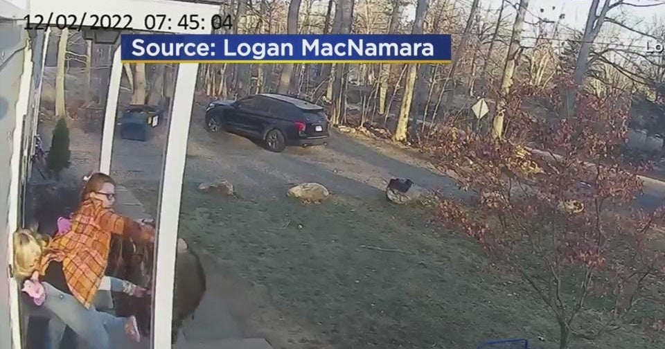 Mother, daughter attacked by raccoon CBS Philadelphia(02)