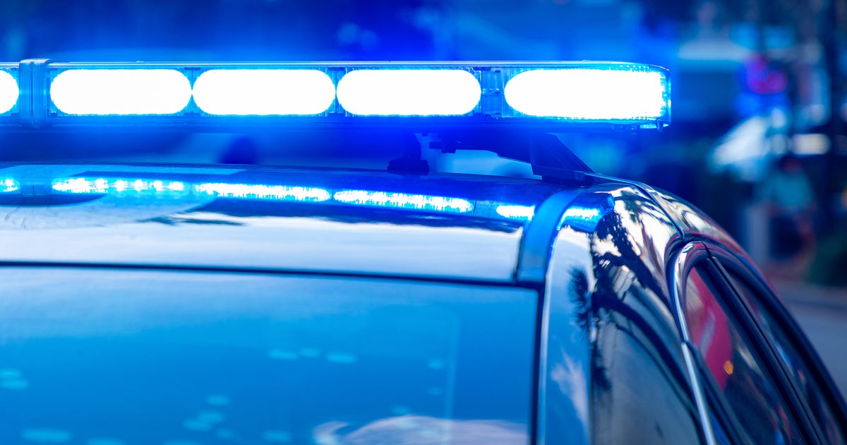 Lawrence County woman facing charges after 2 dogs reportedly found dead in hot car Lawrence County woman facing charges after 2 dogs reportedly found dead in hot car