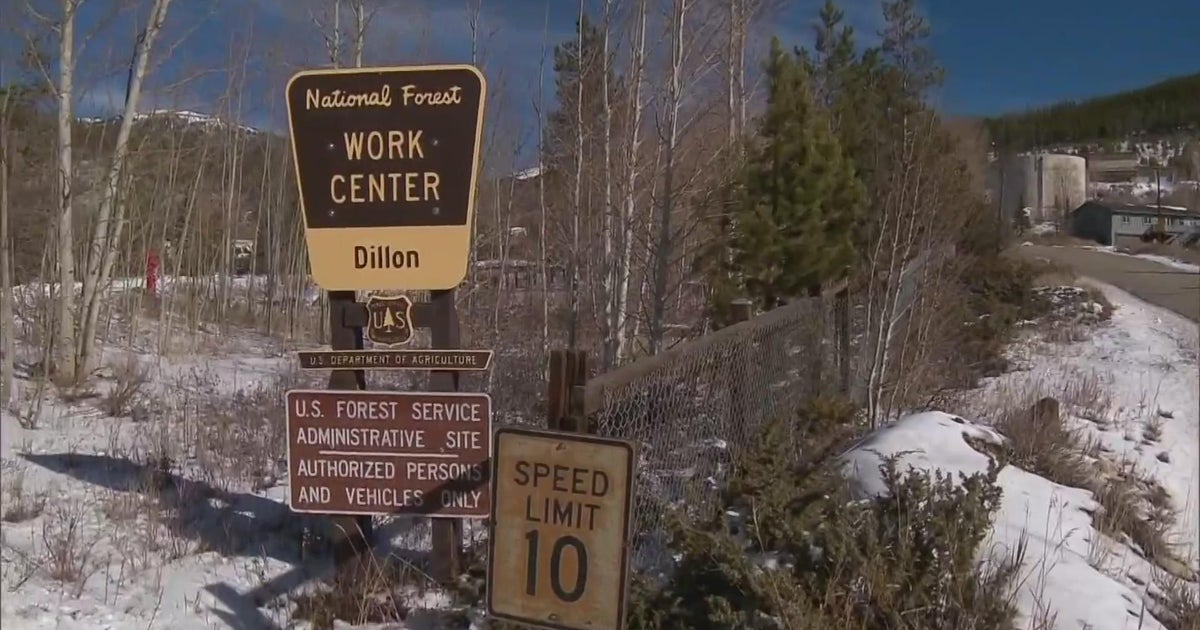 White River Nat'l Forest may team up with Dillon, Summit Co. for