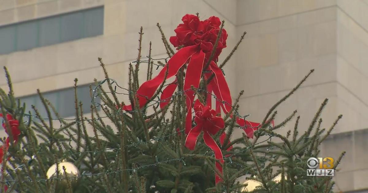 City Hall Christmas Tree - CBS Baltimore