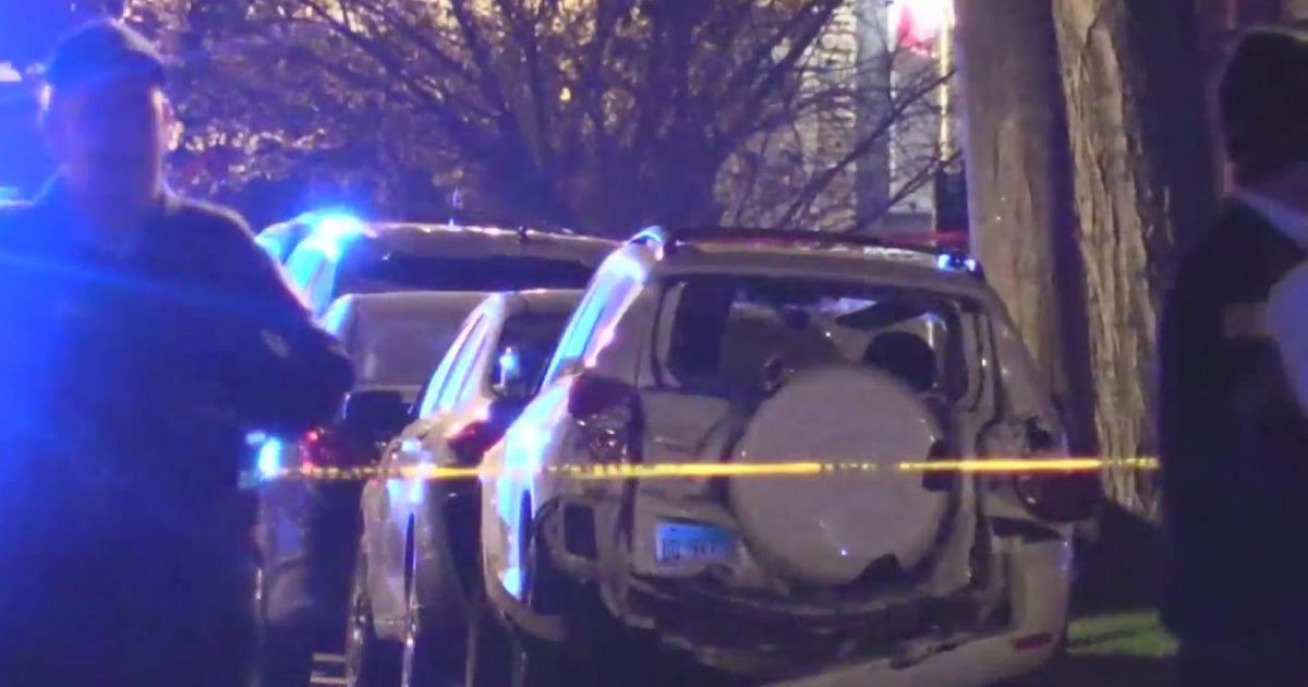 Attempted theft of Catalytic converter CBS Chicago