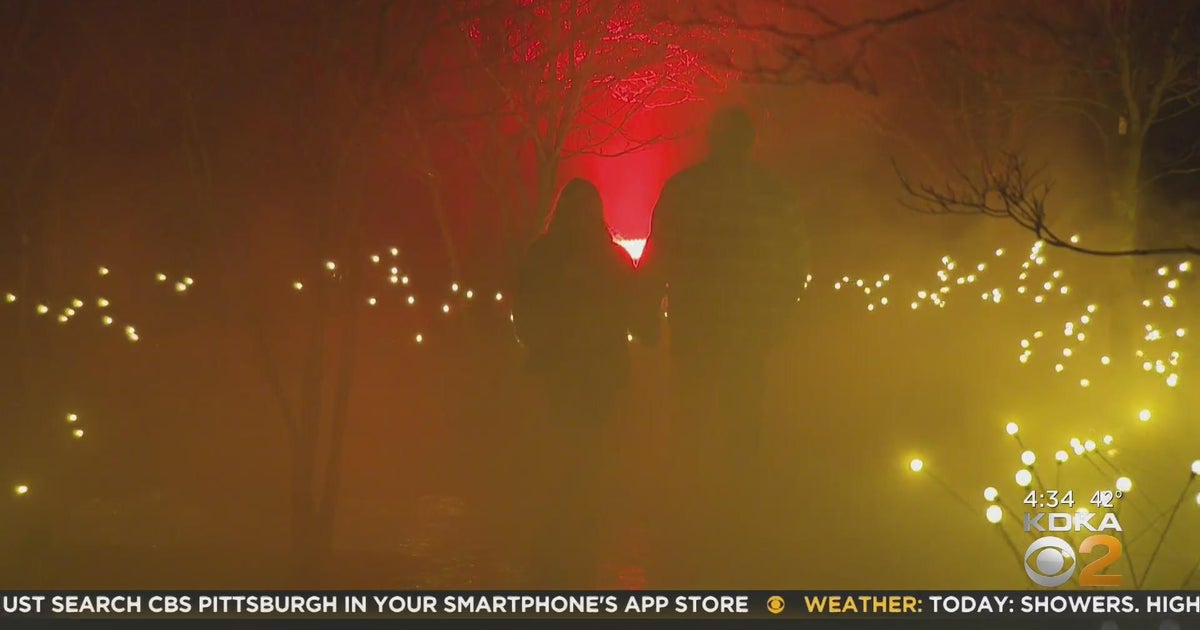 Kidsburgh Pittsburgh Botanic Garden offers 'Dazzling Nights' light